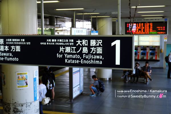 เดินทางจาก ชินจูกุมาลง Sagami-Ono Station เพื่อไป Fujisawa Station 