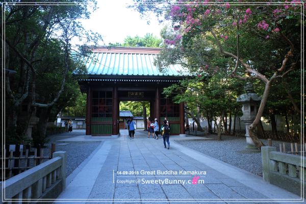 ถึงแล้วนี่คือหน้าทางเข้าของ วัดโดโตกุอิน (Kotoku-In Temple)