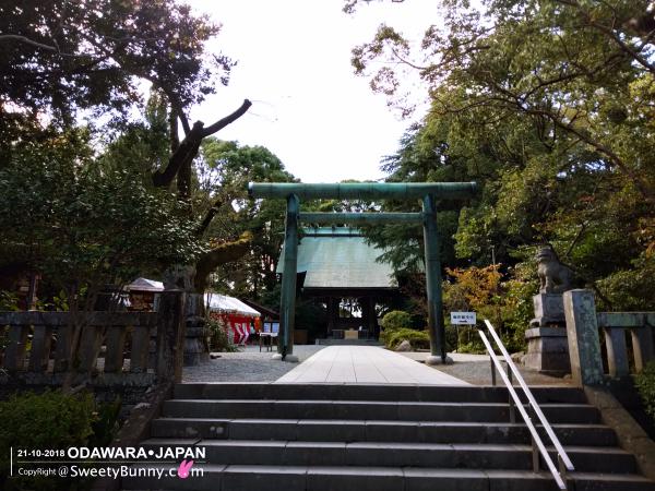 ทางเข้าด้านหน้า ศาลเจ้าโฮโตกุนิโนมิยะ (Hotoku Ninomiya Shrine)