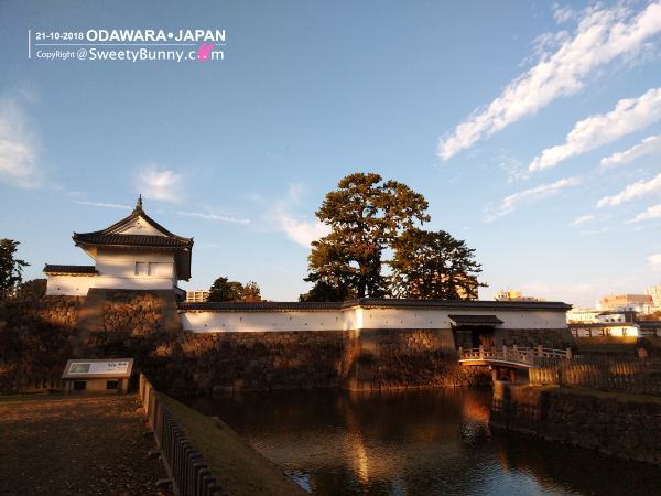 ปราสาทโอดาวาระ (Odawara Castle) ส่งท้าย