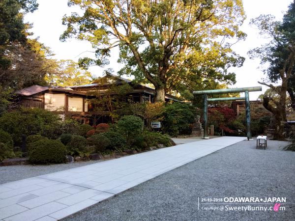 ศาลเจ้าโฮโตกุนิโนมิยะ (Hotoku Ninomiya Shrine) ร่มรื่นมาก