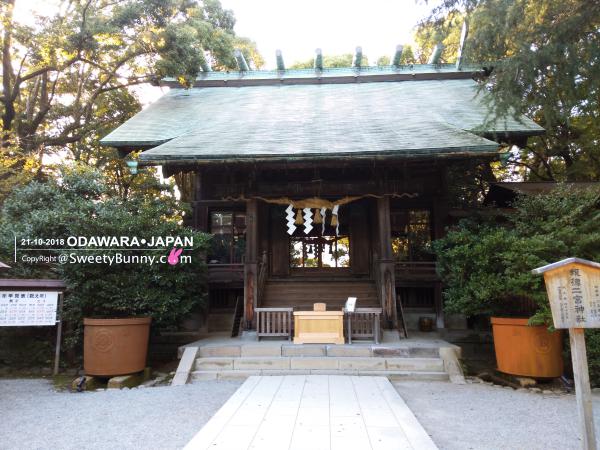 ไหว้ขอพรที่ ศาลเจ้าโฮโตกุนิโนมิยะ (Hotoku Ninomiya Shrine)