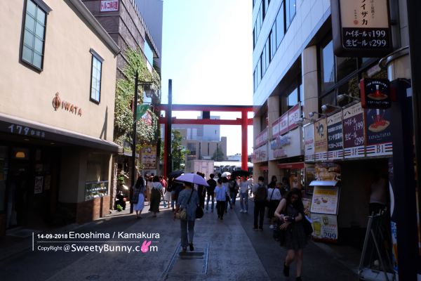 ด้านหลัง เสาโทริอิสีแดงหน้าทางเข้า ถนนโคมาจิโดริ (Komachi-dori Street)