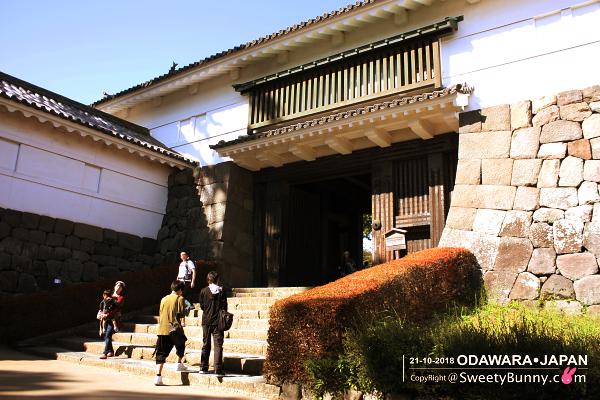ประตู Tokiwagi Gate