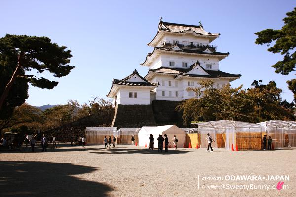 ปราสาทโอดาวาระ (Odawara Castle) หลังเข้าประตูมาทันที