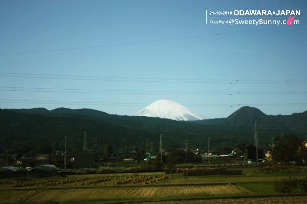 ระหว่างทางนั่งรถไฟมองวิวดีๆ จะเห็น ภูเขาไฟฟูจิ หรือ ฟูจิซัง 