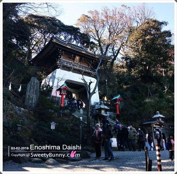 ออกมาด้านนอก เดินลงมาจะเจอ ศาลเจ้าเอโนชิมะ Enoshima Shrine ที่มี รูปปั้นบูชาเบ็นเท็น(statues of Benten)